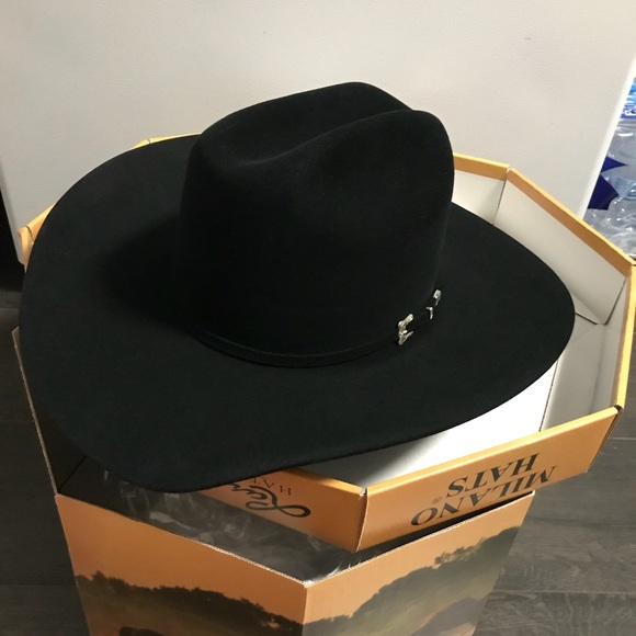 resistol black gold 20x beaver